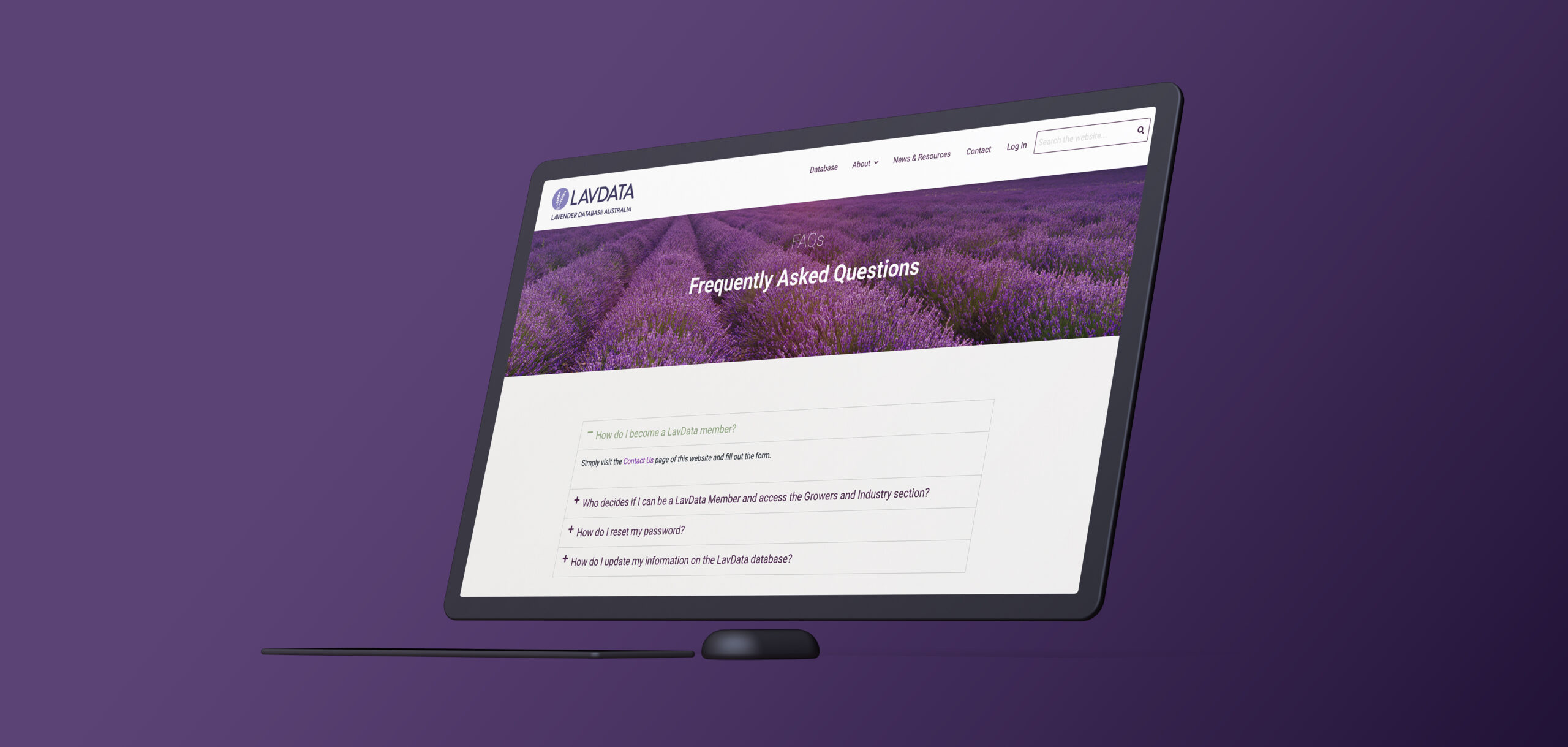 suzie-karamitros-lavdata-website-design4